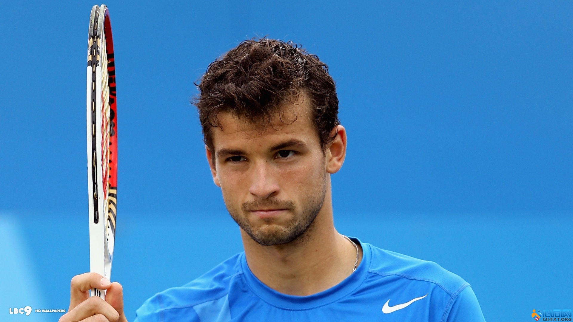 韦霍斯特无 韦霍斯特无