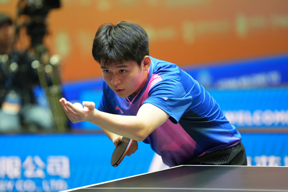 公牛的成功 公牛的成功